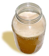 Kombucha brewing  in a 3 litre jar