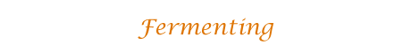 Fermenting